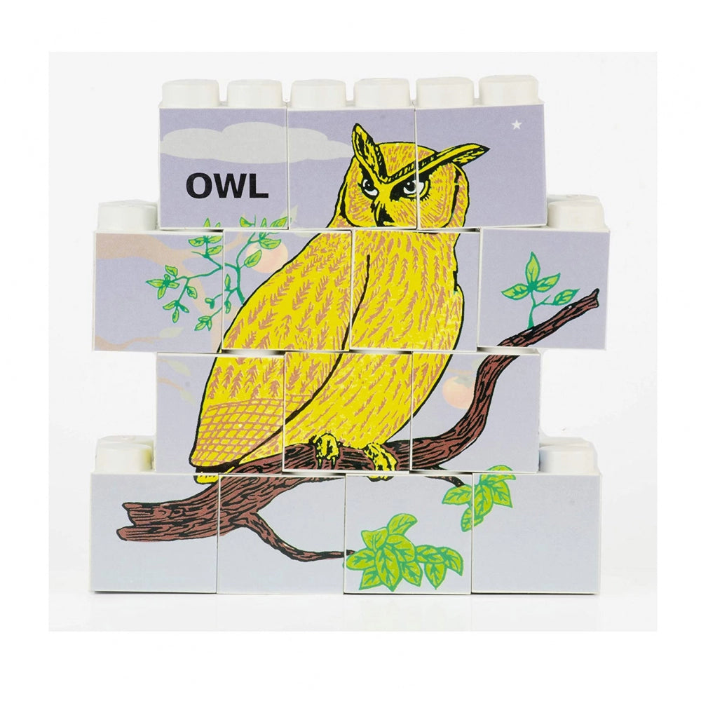 14 Pcs_Set Of Picture Blocks Bird Series (Color: Assorted)