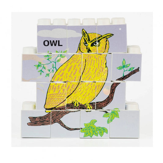 14 Pcs_Set Of Picture Blocks Bird Series (Color: Assorted)