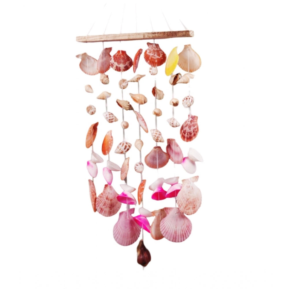 Shopper Beast Seashell Shellkrafts Home Decor (Multicolor)