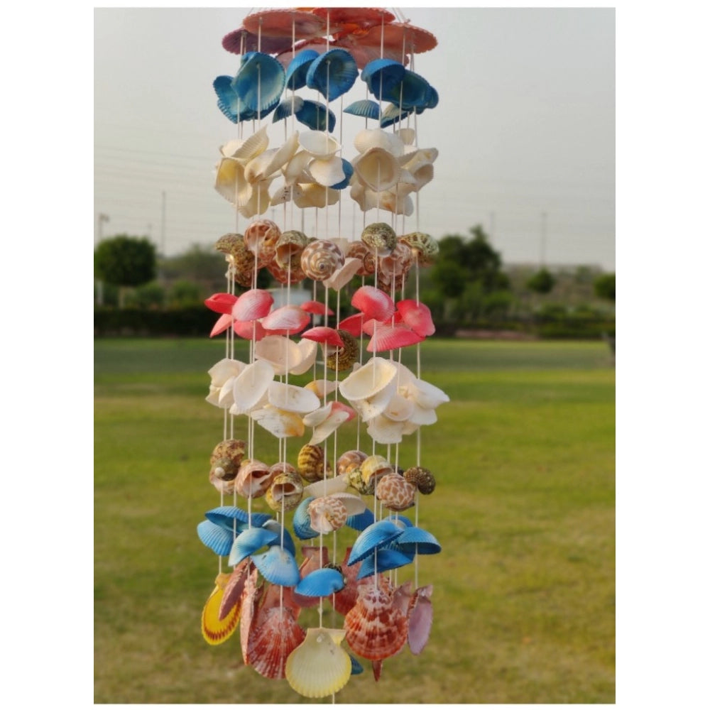 Shopper Beast Seashell Shellkrafts Home Decor (Multicolor)