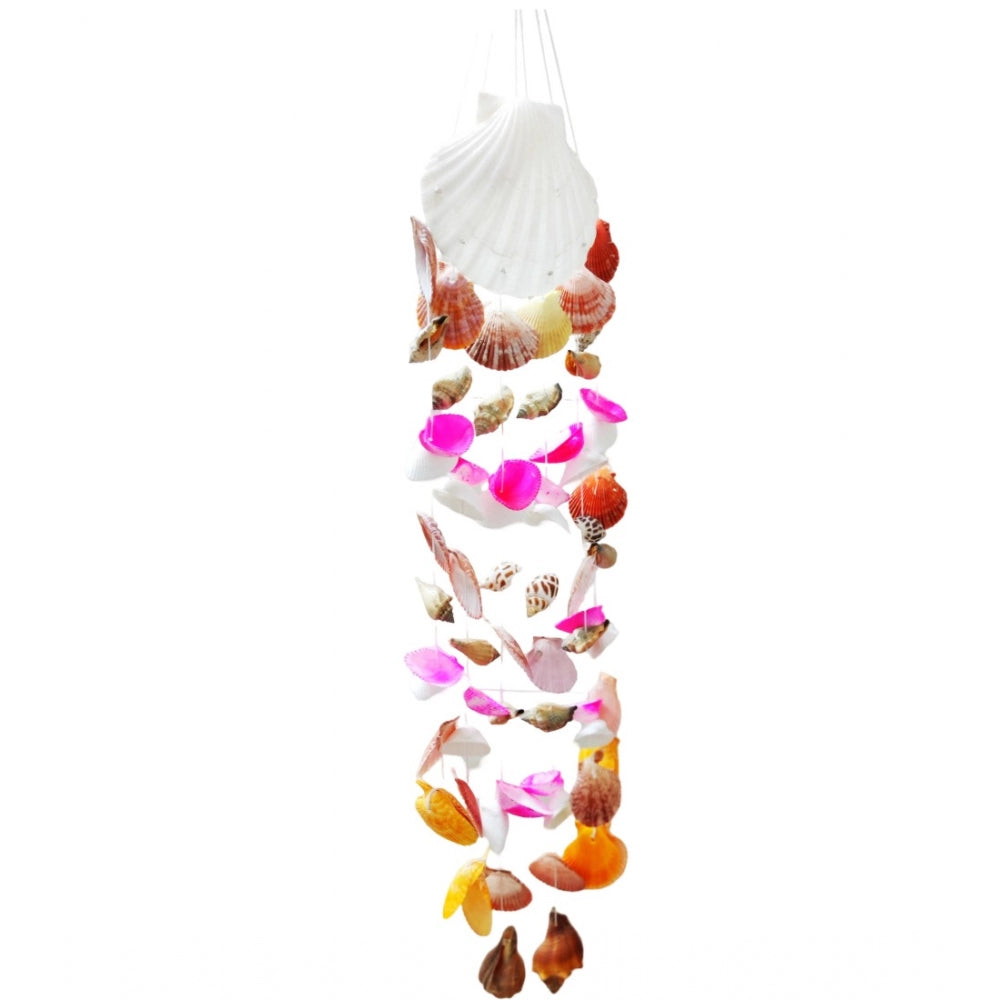 Shopper Beast Seashell Shellkrafts Home Decor (Multicolor)