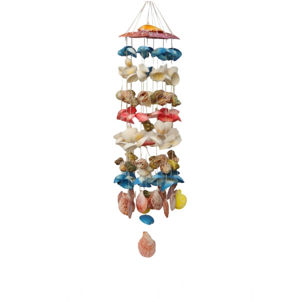 Shopper Beast Seashell Shellkrafts Home Decor (Multicolor)